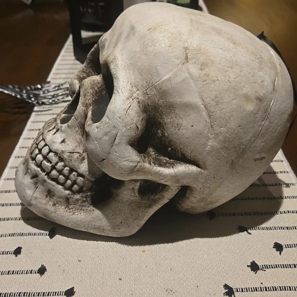 Halloween Skull - Picture 3 of 6